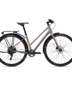 bicicleta de ciudad LIV Alight 2 City Disc-1X 2025