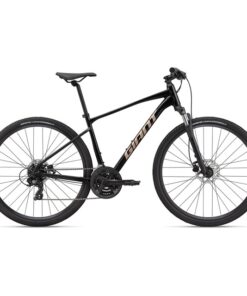 bicicleta de trekking giant Roam 4 Disc 2025