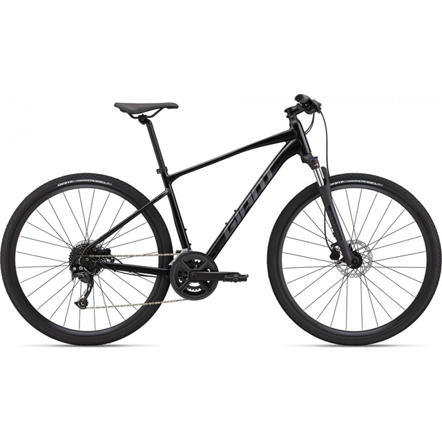 Bicicleta de Trekking Giant Roam 2 Disc 2025